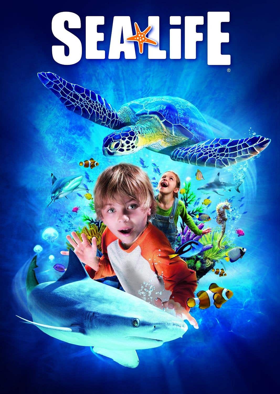 sea-life-aquarium-01