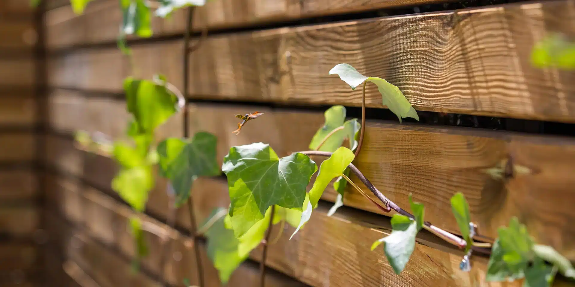 CASA SAVIA, San Pedro de Alcántara, Imagen 43